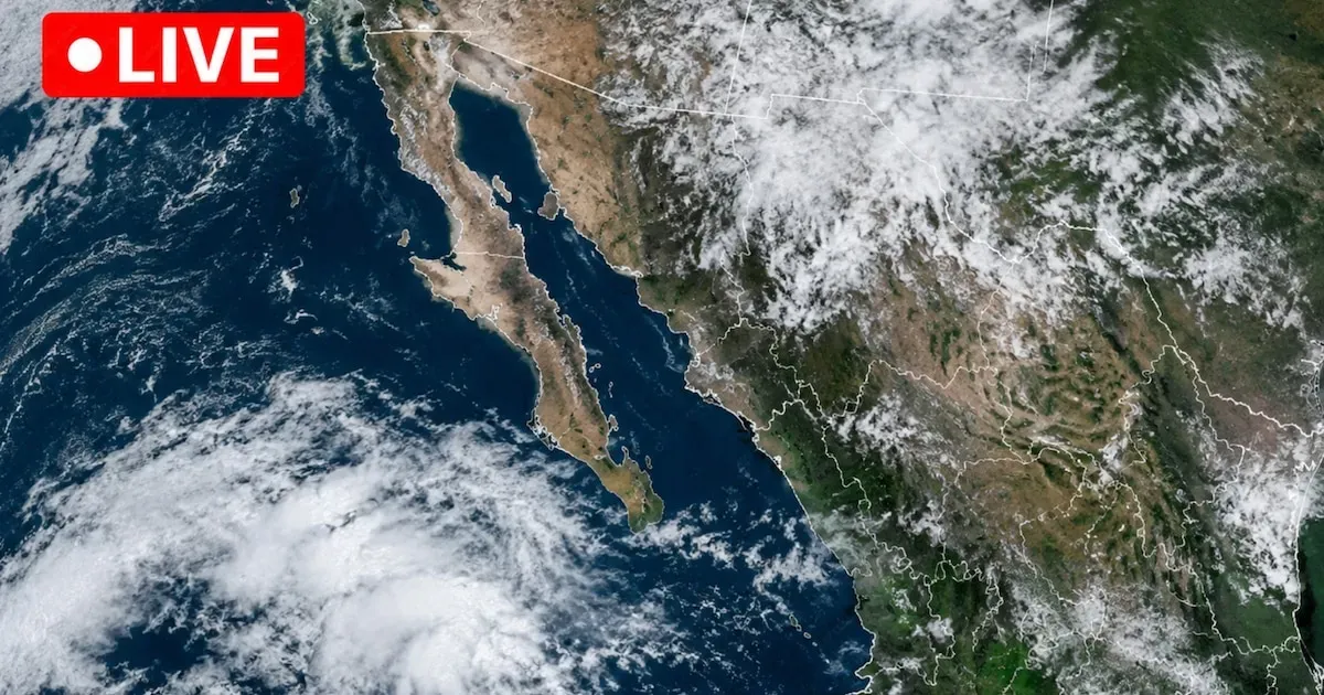 EN VIVO | Clima CDMX y resto de México hoy sábado 24 de octubre: Vance se debilita a categoría 1; frente frío 3 provocarán lluvias en la mitad del país