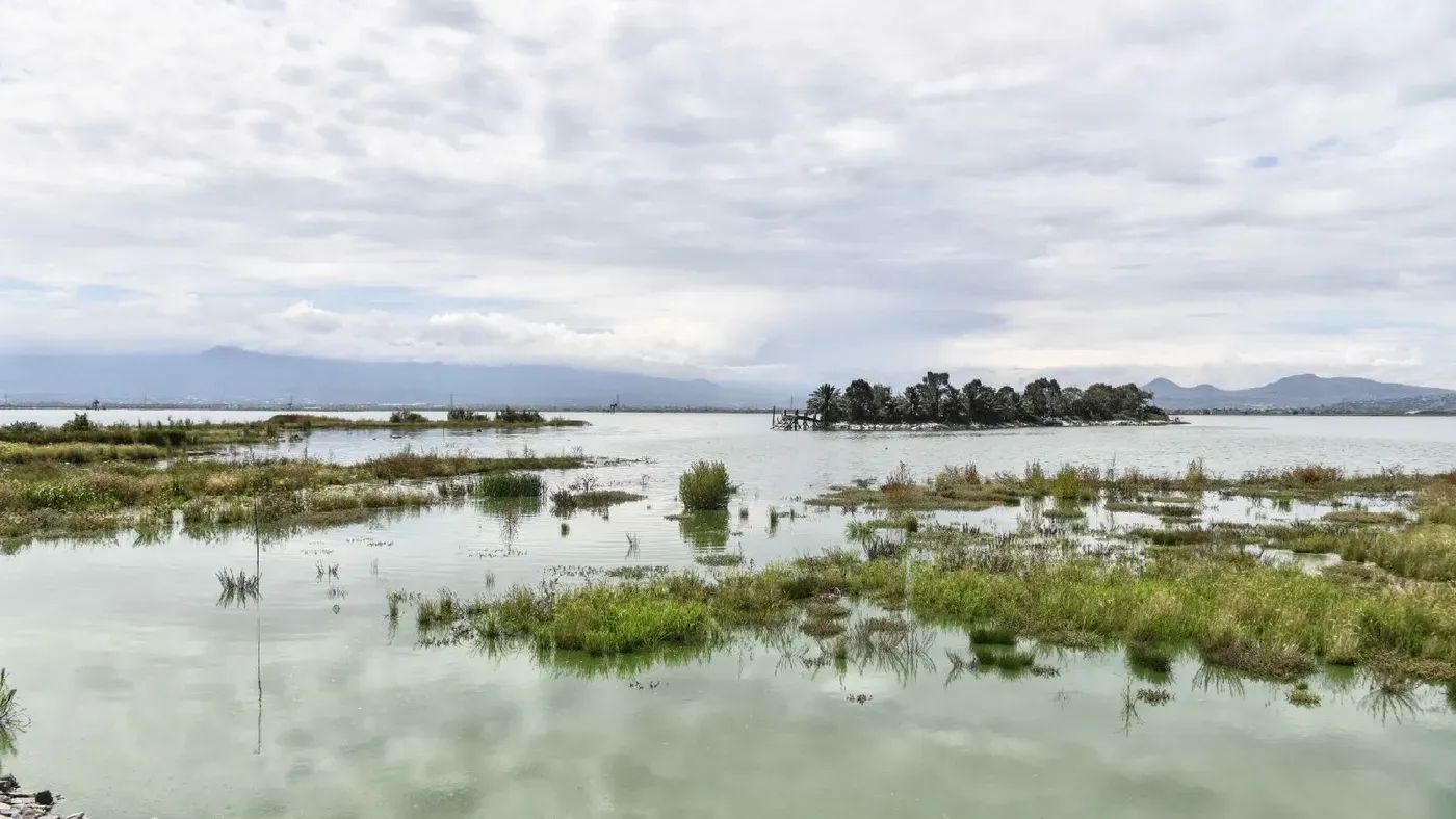 Replantean Plataforma País, mecanismo para financiar la lucha climática en México