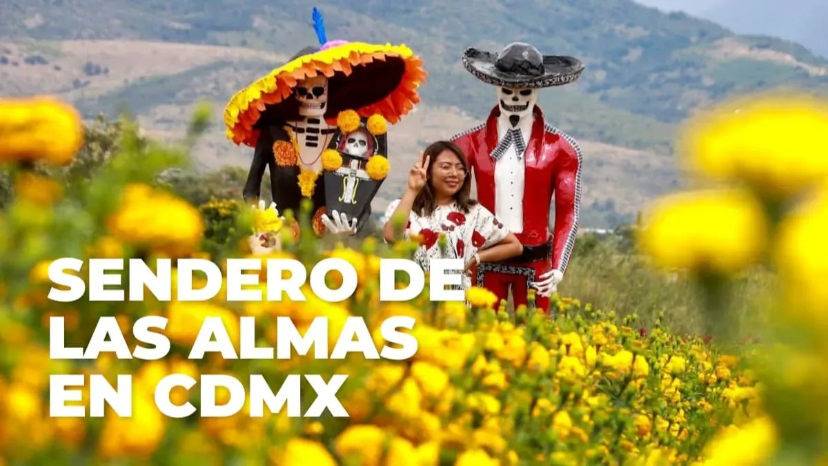 ¡Visita los campos de cempasúchil en CDMX! Habrá recorridos en tractor: fechas y ubicación