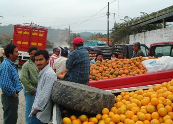 Comercio mundial repunta lentamente, panorama es incierto: ONU