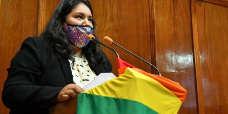 Concesionarias y Capufe, detrs de la detencin de la activista Kenia Hernndez: CDHZL