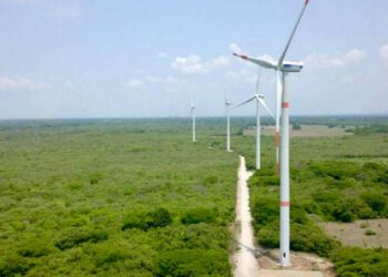 Dan revés a freno del Cenace sobre energías limpias