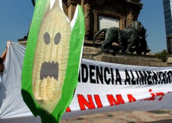 Decreto de Sader deja abierta la utilizacin de transgnicos y glifosato: Greenpeace