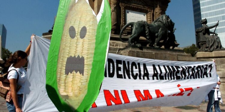 Decreto de Sader deja abierta la utilizacin de transgnicos y glifosato: Greenpeace