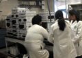 Guanajuato anuncia fondo para ciencia y tecnología