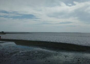 Habilitan a La Reforma como nuevo puerto en Sinaloa