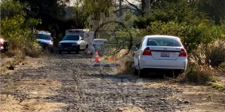 Hallan 59 cuerpos en fosas clandestinas de Salvatierra