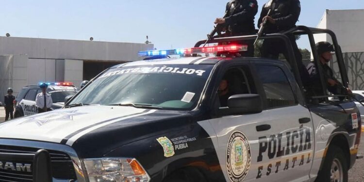 Hallan cinco cadveres envueltos en plstico y cobijas en Puebla