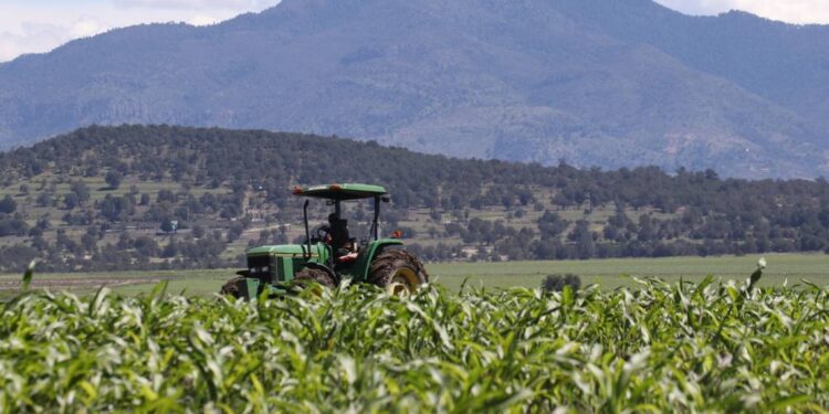 Inai ordena a Conagua informar sobre daños del glifosato en el medio ambiente