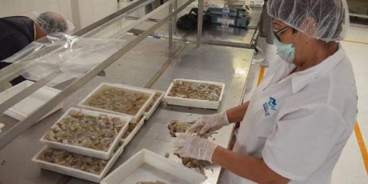 Maquiladoras de Tampico incumplen medidas sanitarias