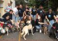 Yadhira Carrillo rescata perros en la calle y los da en adopción ¡FOTOS!
