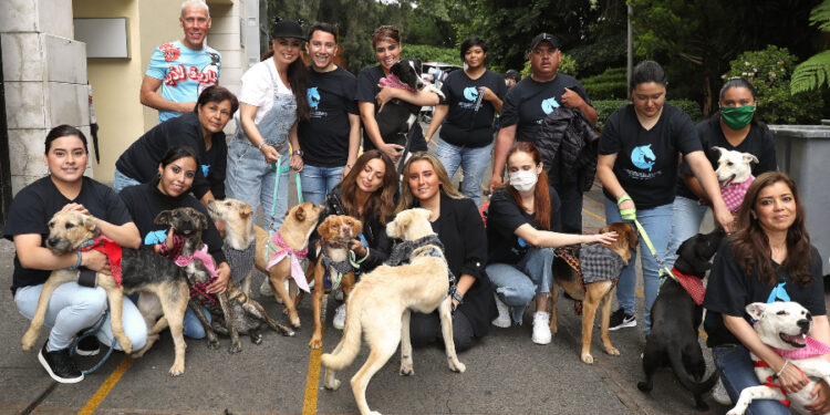 Yadhira Carrillo rescata perros en la calle y los da en adopción ¡FOTOS!