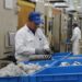 Ánimo del empresariado para invertir cayó a 37% en noviembre: Coparmex