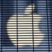 Apple intenta debilitar ley contra trabajo forzoso en China
