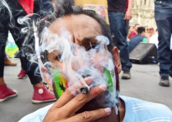 Avanza en Senado dictamen de Ley de Cannabis