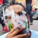 Avanza en Senado dictamen de Ley de Cannabis