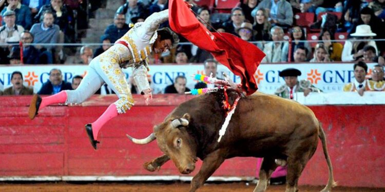 Corte avala presencia de niños con papás en corridas de toros