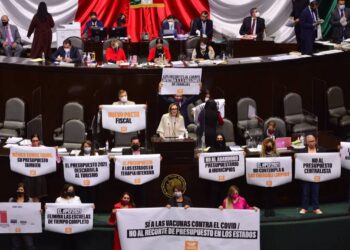 Diputadas y activistas alertan recorte de recursos para mujeres y a Casas para indígenas
