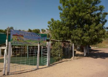 Hijos de El Chapo "construyen" escuela en Culiacán