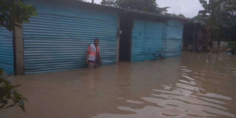 Lluvias dejan más de 20 muertos y 80 mil afectados en Tabasco y Chiapas
