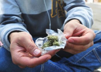 Lo que debes saber sobre la Ley de regulación del Cannabis
