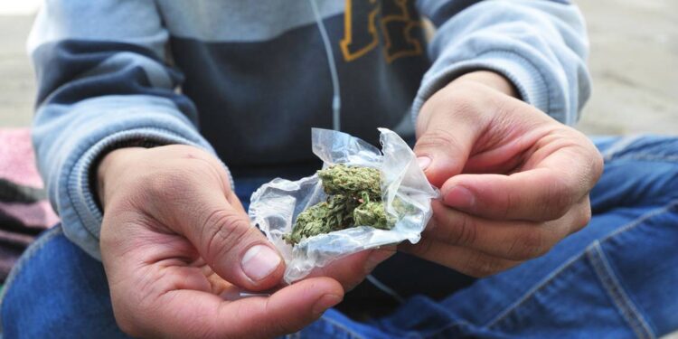 Lo que debes saber sobre la Ley de regulación del Cannabis