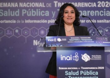 Pandemia de Covid-19 vino como anillo al dedo a la 4T: Irma Eréndira Sandoval