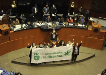 Senado aprueba en lo general uso lúdico de la marihuana