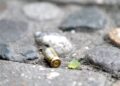 Asesinan a fotoperiodista en Jerez, Zacatecas