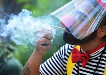Diputados retrasarán discusión para regularizar la marihuana hasta febrero