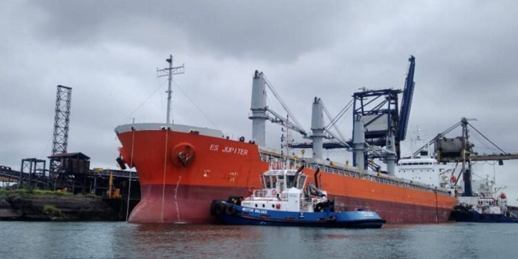 Hasta junio se concretará el traspaso total de puertos a la Marina