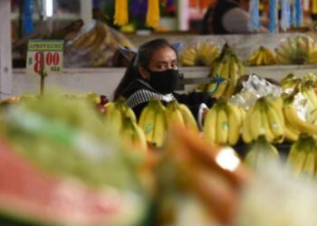 La recuperación económica va a tardar