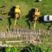 Llega a la Corte primer amparo contra Tren Maya