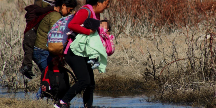 Más de 100 cuerpos de migrantes irán a la fosa común