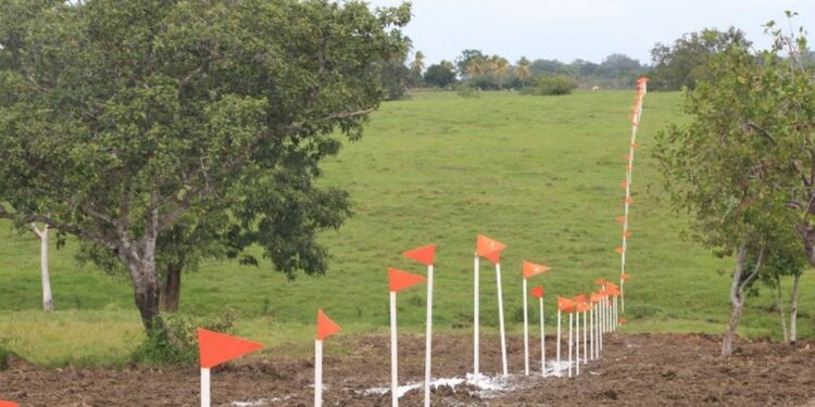 Presentan amparo contra Tren Maya por afectaciones al medio ambiente