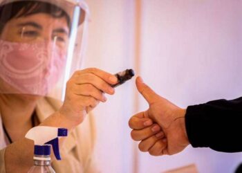 Que la democracia no sea una víctima más de la pandemia