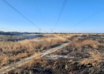 Un incendio y exceso de energía renovable, causas del apagón: CFE