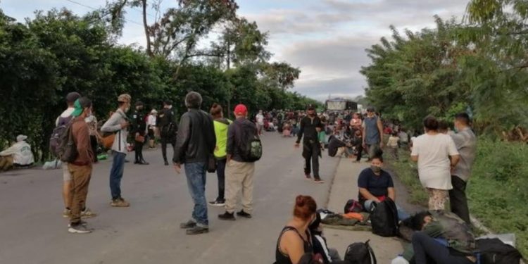 Alistan otra caravana de migrantes; saldrá el 15 de febrero - Noticias, Deportes, Gossip, Columnas