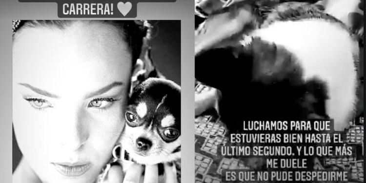 Belinda está de luto: "No puedo expresar el dolor que siento en mi corazón"