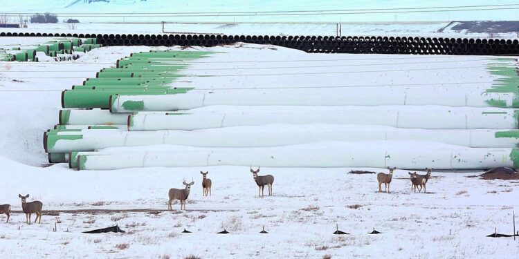 Biden planea cancelar oleoducto en EU - Noticias, Deportes, Gossip, Columnas