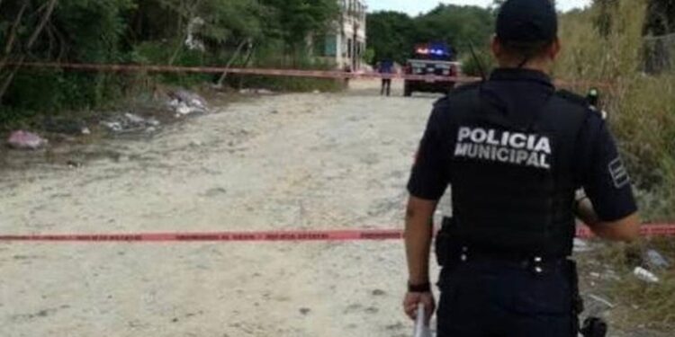 Comando quema casas en Playa del Carmen - Noticias, Deportes, Gossip, Columnas