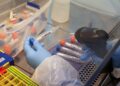 Da positivo a Covid-19 otro pasajero del vuelo con nueva cepa de coronavirus - Noticias, Deportes, Gossip, Columnas