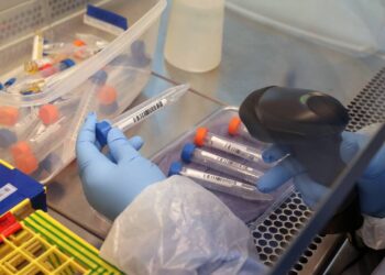 Da positivo a Covid-19 otro pasajero del vuelo con nueva cepa de coronavirus - Noticias, Deportes, Gossip, Columnas