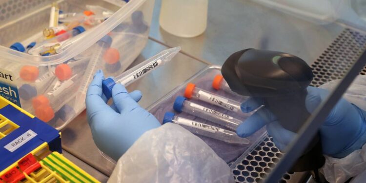 Da positivo a Covid-19 otro pasajero del vuelo con nueva cepa de coronavirus - Noticias, Deportes, Gossip, Columnas