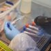 Da positivo a Covid-19 otro pasajero del vuelo con nueva cepa de coronavirus - Noticias, Deportes, Gossip, Columnas