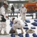 Decomisan más de 13 mil prendas tácticas de fuerzas de seguridad - Noticias, Deportes, Gossip, Columnas