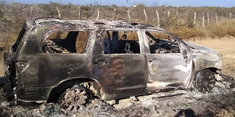 El Cártel del Noreste, en la mira de la DEA - Noticias, Deportes, Gossip, Columnas