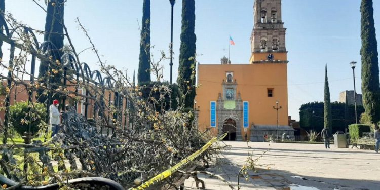 Estados, desbordados por Covid-19 - Noticias, Deportes, Gossip, Columnas