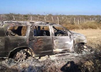 Fiscalía abre investigación por los 19 cuerpos calcinados en Tamaulipas - Noticias, Deportes, Gossip, Columnas