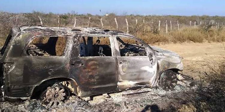 Fiscalía abre investigación por los 19 cuerpos calcinados en Tamaulipas - Noticias, Deportes, Gossip, Columnas